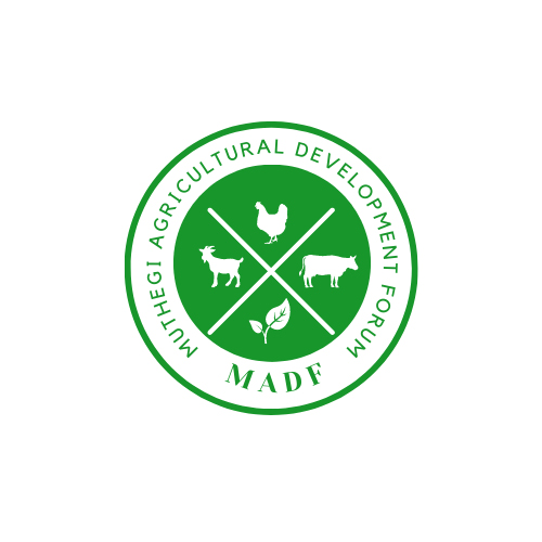 Muthegi Agricultural Development Forum Goat